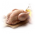 chicken, poultry, fowl, turkey, duck