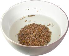 nasiona na kieki rzodkiewki mocza si w letniej wodzie w porcelanowej miseczce