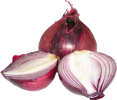 cebula czerwona