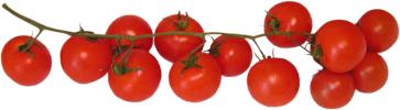 10 - 15 pcs. cherry tomatoes